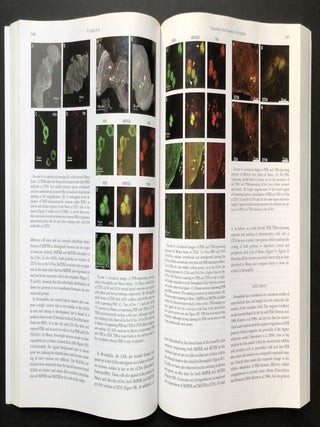 Genetics, November 2007, Vol. 177 no. 3: Special Section 12 Drosophila Genomes