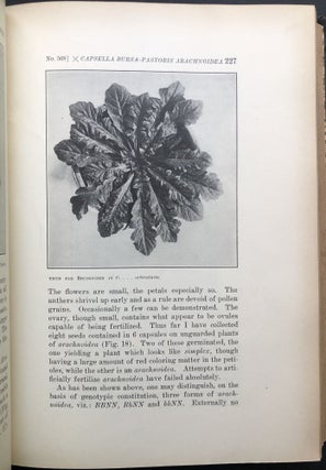 The American Naturalist, Vol. XLVIII (48), 1914, bound volume