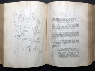 The American Naturalist, Vol. XLI (41), 1907, bound volume