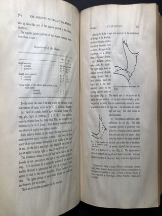 The American Naturalist, Vol. XXXVIII (38), 1904, bound volume
