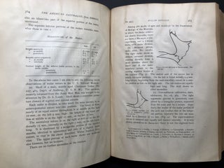 The American Naturalist, Vol. XXXVIII (38), 1904, bound volume