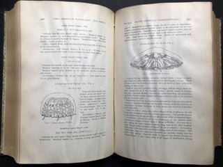 The American Naturalist, Vol. XXXVII (37), 1903, bound volume