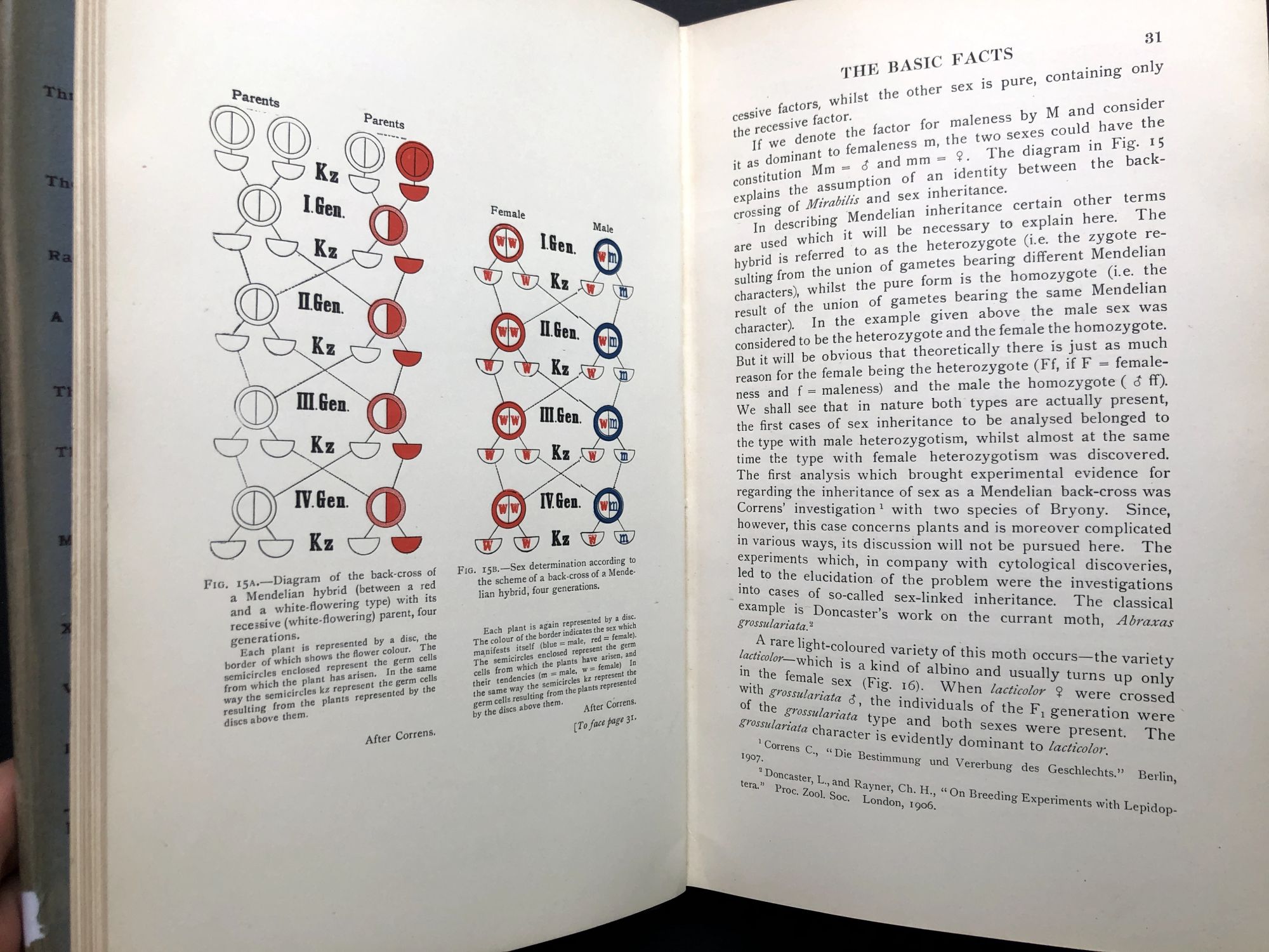 The Mechanism and Physiology of Sex Determination | Richard Goldschmidt |  First English Language Edition