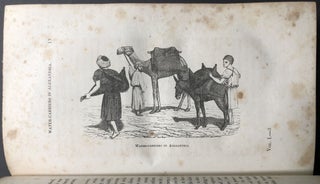 The American in Egypt, with Rambles through Arabia Petraea and the Holy Land during the Years 1839 and 1840