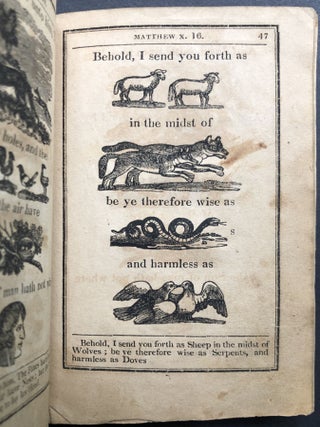 A New Hieroglyphical Bible, for the Amusement and Instruction of Children; Being, a Selection of Some of the Most Useful Lessons and Interesting Narratives, from Genesis to the Revelations... To Which is Added A Sketch of the Life of Our Blessed Saviour, and the Holy Apostles, &c.
