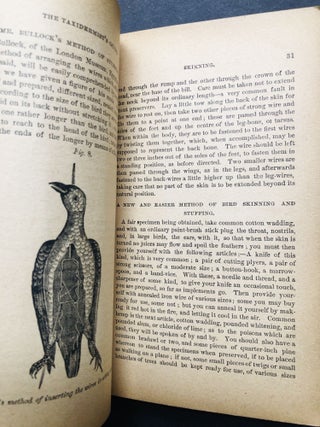 The Taxidermist's Guide, a manual of instruction in the art of collecting, preparing, mounting and preserving all kinds of animals, birds, fishes, reptiles & insects
