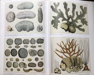 Albertus Seba: Cabinet of Natural Curiosities, The Complete Plates in Colour, 1734-1765