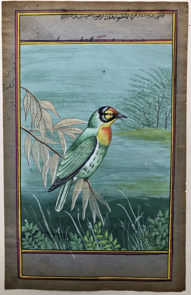 Item #H28549 Indian hand-painted miniature of a sparrow, early 20th century