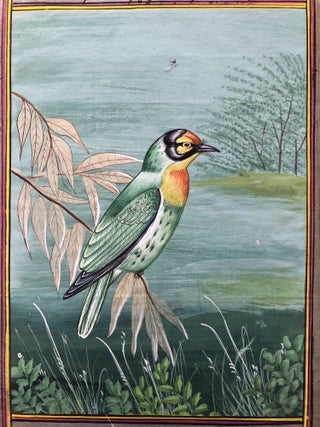 Indian hand-painted miniature of a sparrow, early 20th century