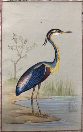 Old miniature of a heron with Arabic writing