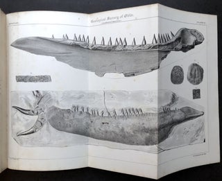 Report of the Geological Survey of Ohio, Volume I Geology and Palaeontology, Part II: Palaeontology