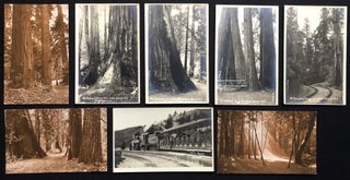 Item #H28914 8 ca. 1910s real photo postcards of Muir Woods, Mt. Tamalpais, CA including railroad