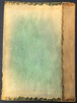 Homemade blank book from 1890s in suede with decorated floral butterfly motif on cover.