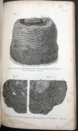 Geology and Mineralogy Considered With Reference to Natural Theology, Vol. 2 (1836) -- the plate volume