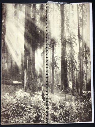 1934 Bulldog Record, Yearbook of the San Francisco High School of Commerce