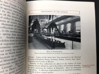 Carnegie Institute and Carnegie Library (Pittsburgh 1930, illustrated history and description)