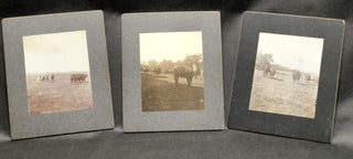 Item #H30548 3 1890s mounted photos of William Hopley's farm & cattle, Atlantic, Iowa