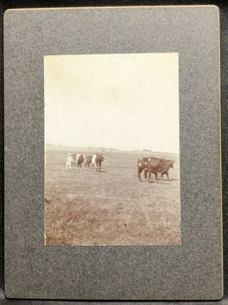 3 1890s mounted photos of William Hopley's farm & cattle, Atlantic, Iowa