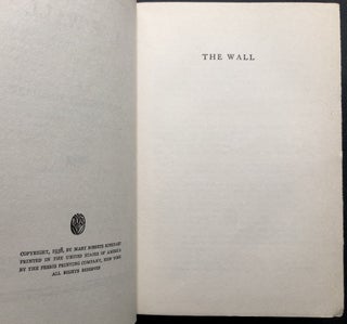 The Wall, a new mystery novel