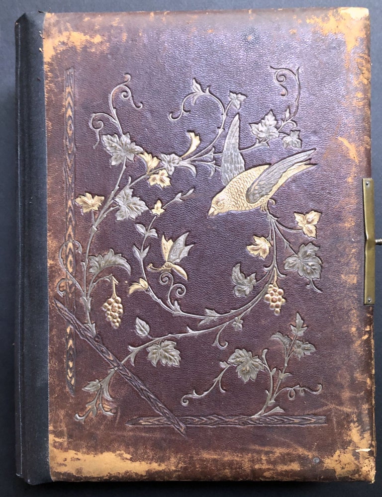 Item #H31738 1870s-1880s album of Swedish-American families in LaPorte Indiana