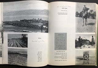 Album on the Kibbutz Kineret; Kinneret: albom le-tsiyun yovlah shel ha-k evutsah