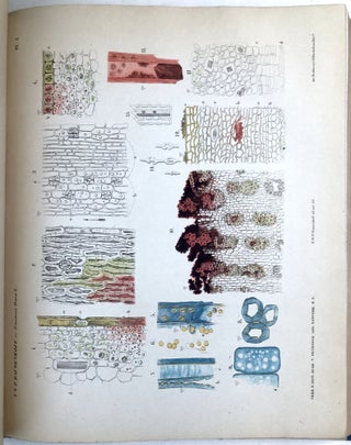 Item #H32860 Verhandelingen der Koninklijke Akademie van Wetenschappen, Vol. 10, 1864. N. W. P....