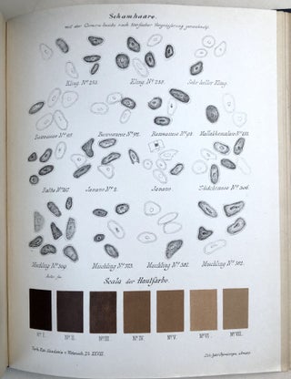 Item #H32864 Verhandelingen der Koninklijke Akademie van Wetenschappen, Vol. 28, 1890. C. K....