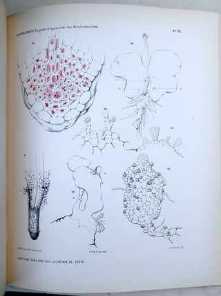 Verhandelingen der Koninklijke Akademie van Wetenschappen, Vol. 28, 1890