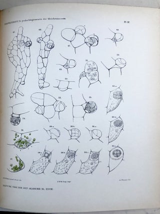 Verhandelingen der Koninklijke Akademie van Wetenschappen, Vol. 28, 1890