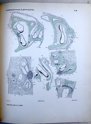 Verhandelingen der Koninklijke Akademie van Wetenschappen, Vol. 28, 1890