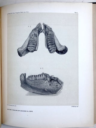 Verhandelingen der Koninklijke Akademie van Wetenschappen, Vol. 28, 1890