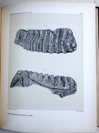 Verhandelingen der Koninklijke Akademie van Wetenschappen, Vol. 28, 1890