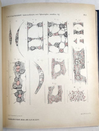 Item #H32866 Verhandelingen der Koninklijke Akademie van Wetenschappen, Vol. 26, 1888. N. W. P....