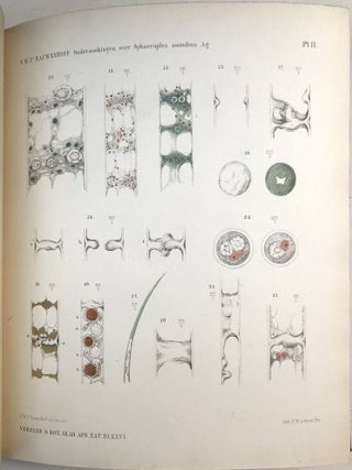 Verhandelingen der Koninklijke Akademie van Wetenschappen, Vol. 26, 1888