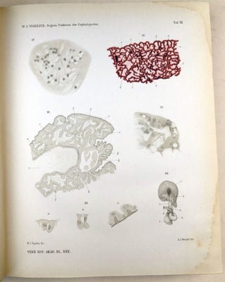 Item #H32869 Verhandelingen der Koninklijke Akademie van Wetenschappen, Vol. 22, 1883. W. J....