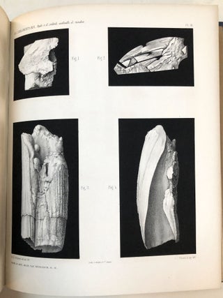 Item #H32874 Verhandelingen der Koninklijke Akademie van Wetenschappen, Vol. 2, 1855. J. A. C....
