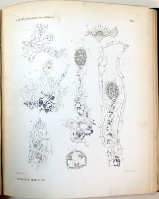 Item #H32901 Verhandelingen der Koninklijke Akademie van Wetenschappen, Vol. 20, 1879. P....