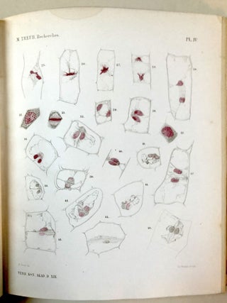 Verhandelingen der Koninklijke Akademie van Wetenschappen, Vol. 20, 1879