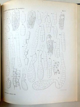 Verhandelingen der Koninklijke Akademie van Wetenschappen, Vol. 20, 1879
