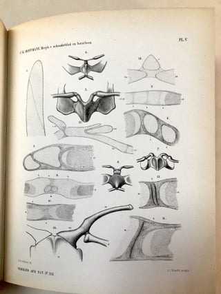 Verhandelingen der Koninklijke Akademie van Wetenschappen, Vol. 20, 1879