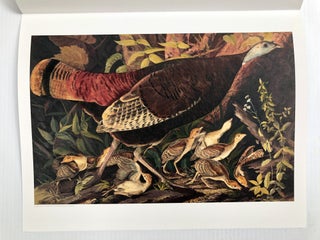 The John James Audubon Portfolio