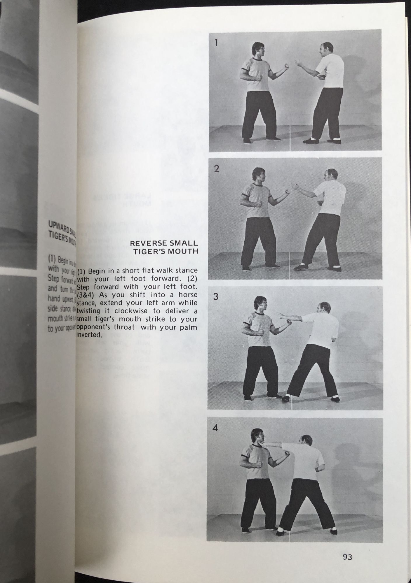 Hsing-i Kung-fu | Tim Tackett | Second Printing
