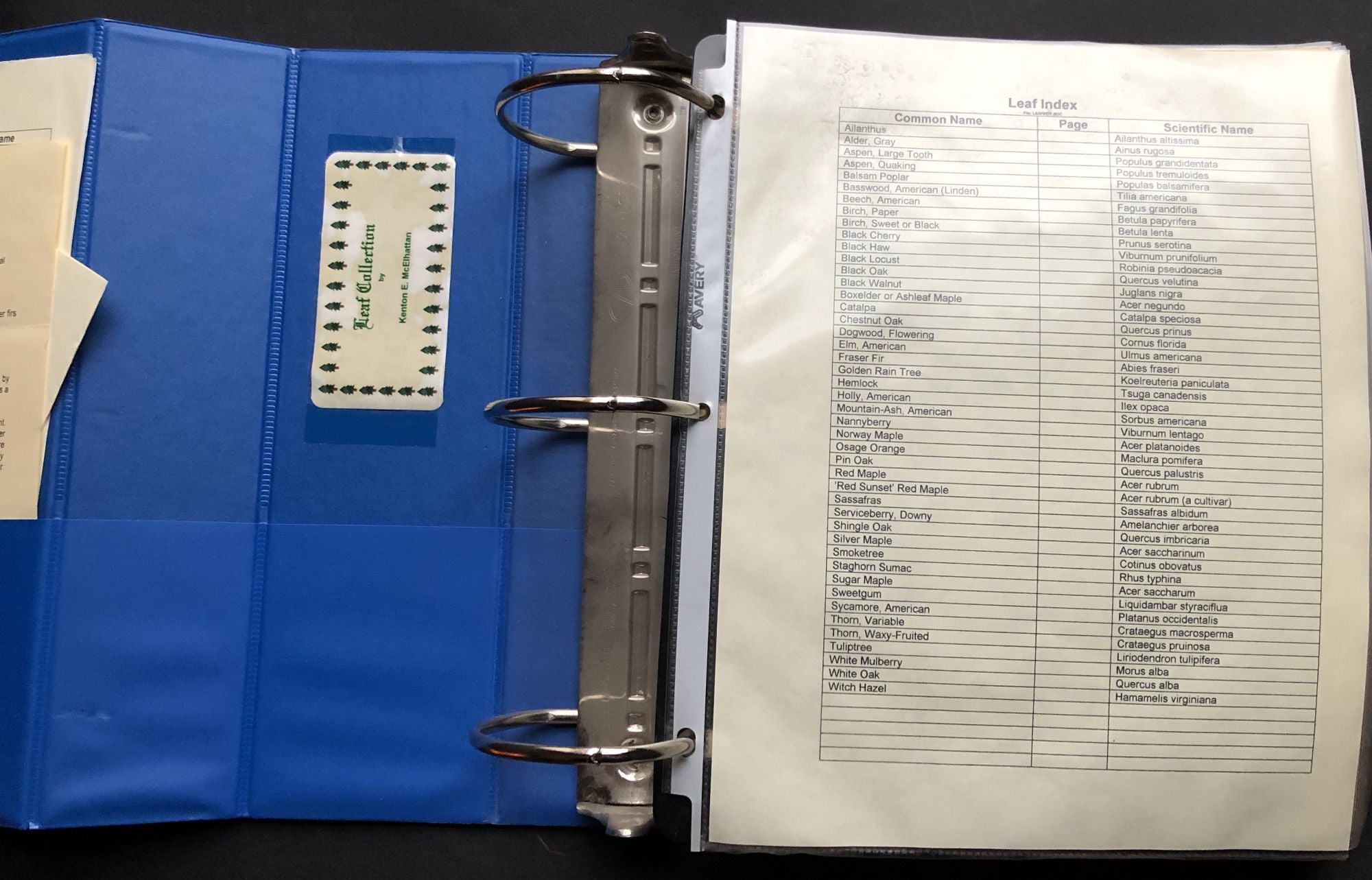 Leaf Collection binder Ca. 1990s binder with 45 actual specimens, caption  pages, etc.