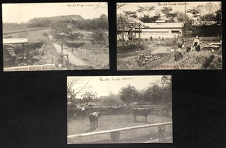 Item #H35329 3 1906 postcards from Girls' Imperial University (Gakushuin), Tokyo Japan