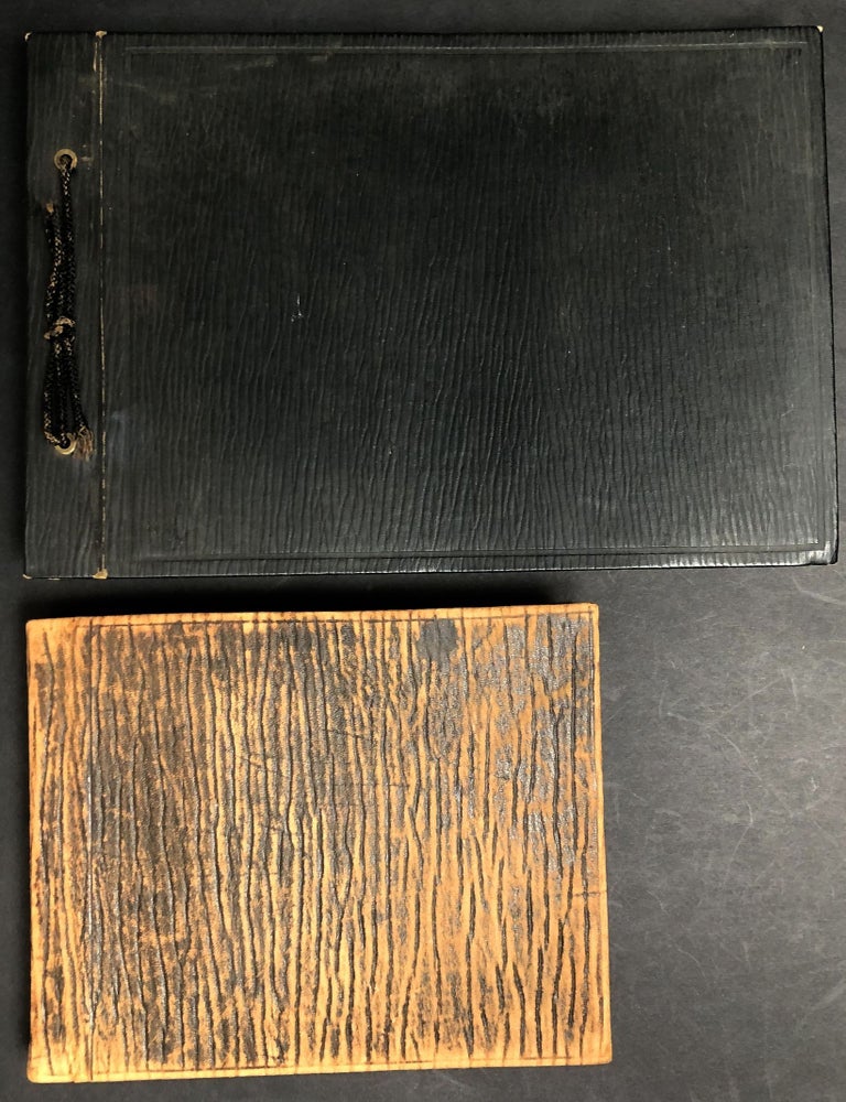 Item #H35348 1900-1921 2 photo albums Washington County PA landscapes, New England, Somerset PA, Washington College