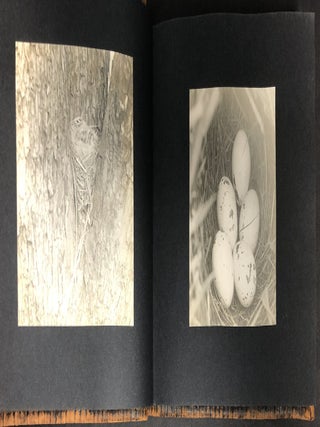 1900-1921 2 photo albums Washington County PA landscapes, New England, Somerset PA, Washington College