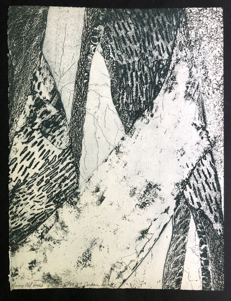 Item #H37012 "Among Old Trees" original print, one of 50 signed & numbered, 1976. Candace Luke.