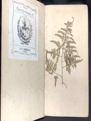 An Inquiry into the Scriptural Views of Slavery