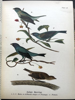 Report on the Birds of Pennsylvania (1890) in fine Bayntun leather binding