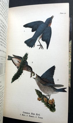 Report on the Birds of Pennsylvania (1890) in fine Bayntun leather binding
